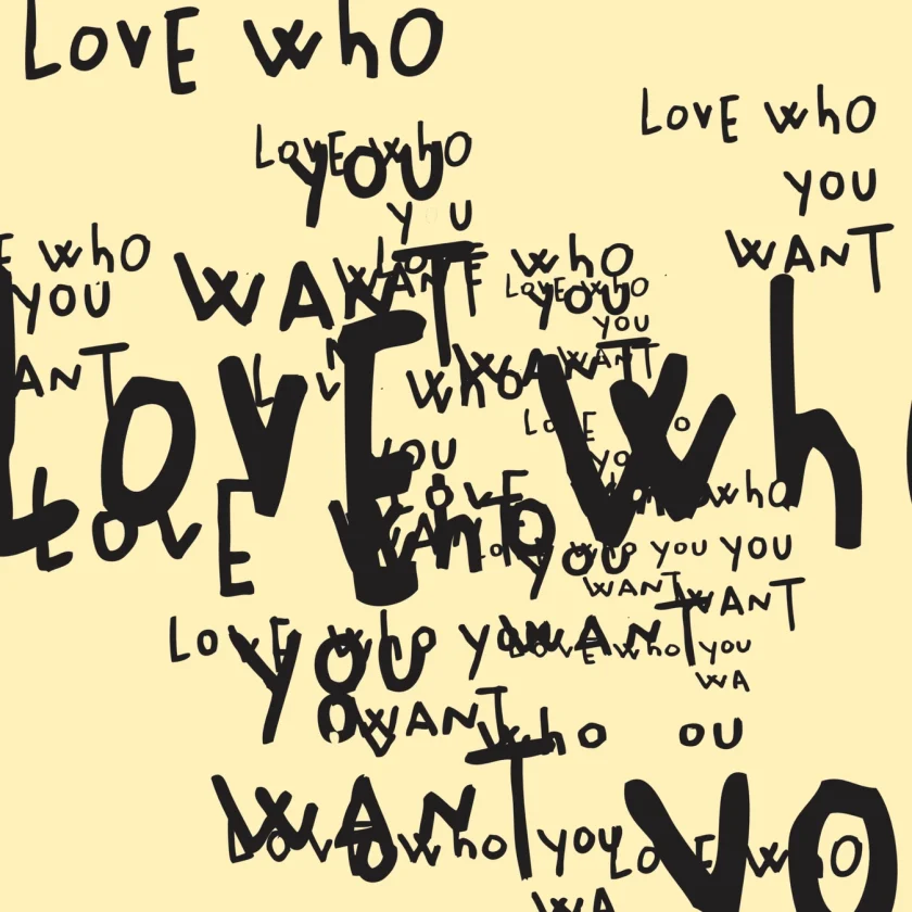 Hélène Lelimouzin "Love who you want" – Bild 2